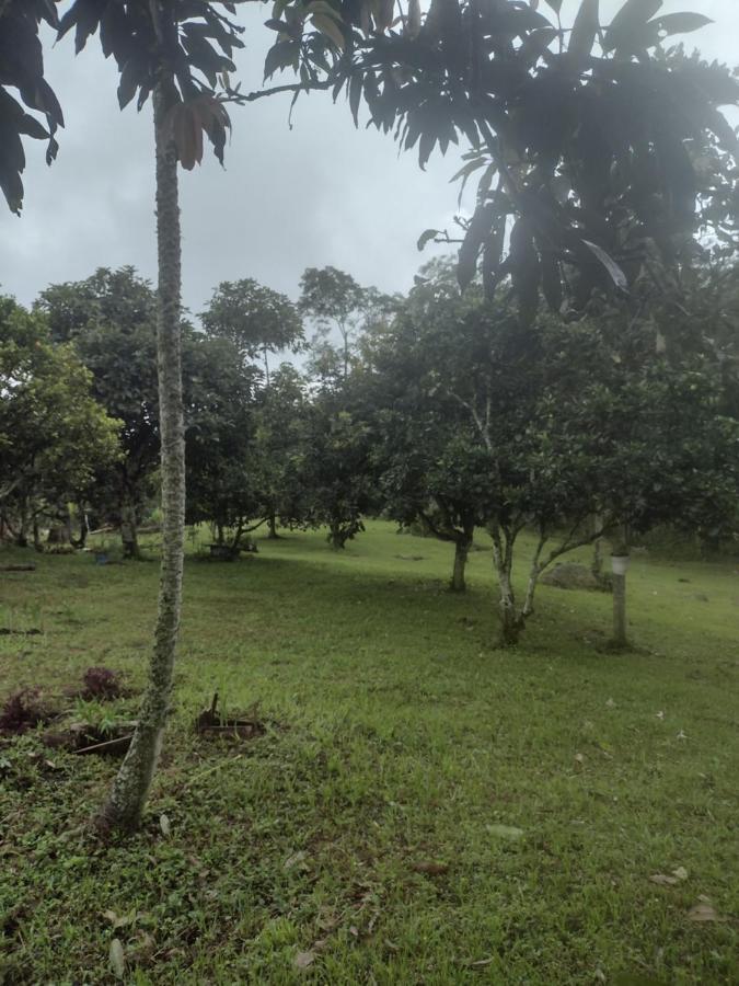 Finca Exclusividad Familiar O Grupo De Amigos Capacidad Hasta 12 Personas Calles En Placa Huella, Caminata Ecologica Alban  Екстер'єр фото