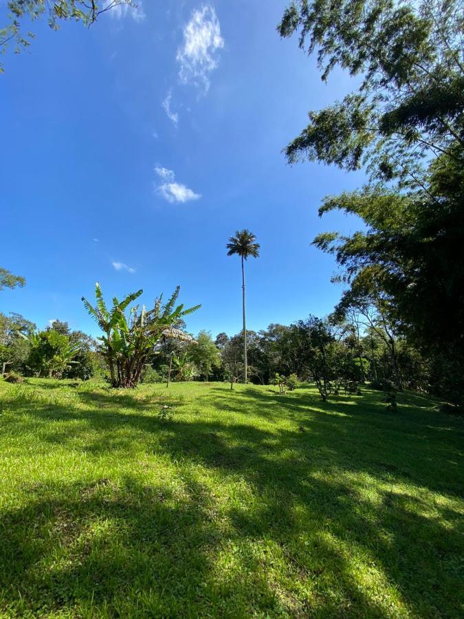 Finca Exclusividad Familiar O Grupo De Amigos Capacidad Hasta 12 Personas Calles En Placa Huella, Caminata Ecologica Alban  Екстер'єр фото