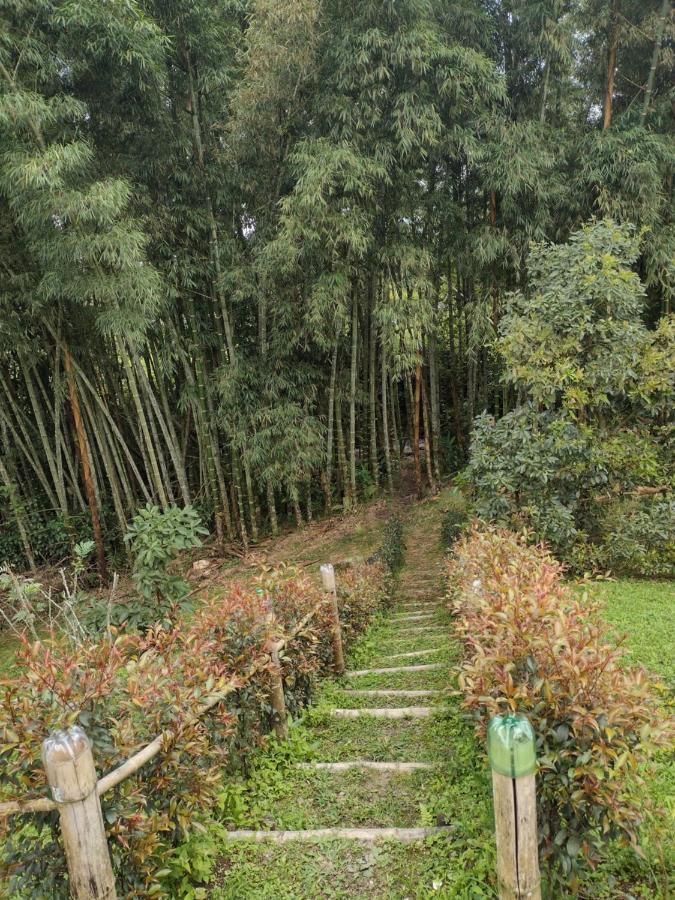 Finca Exclusividad Familiar O Grupo De Amigos Capacidad Hasta 12 Personas Calles En Placa Huella, Caminata Ecologica Alban  Екстер'єр фото