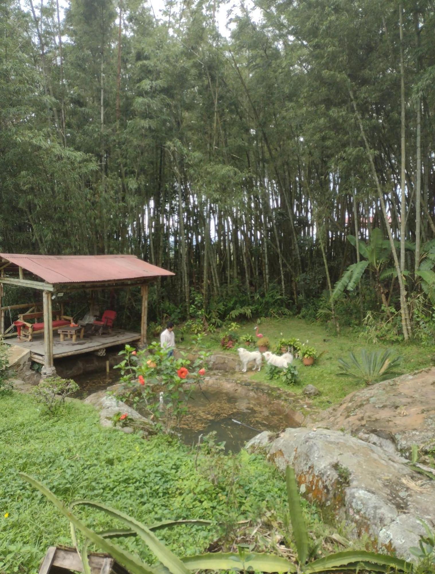 Finca Exclusividad Familiar O Grupo De Amigos Capacidad Hasta 12 Personas Calles En Placa Huella, Caminata Ecologica Alban  Екстер'єр фото