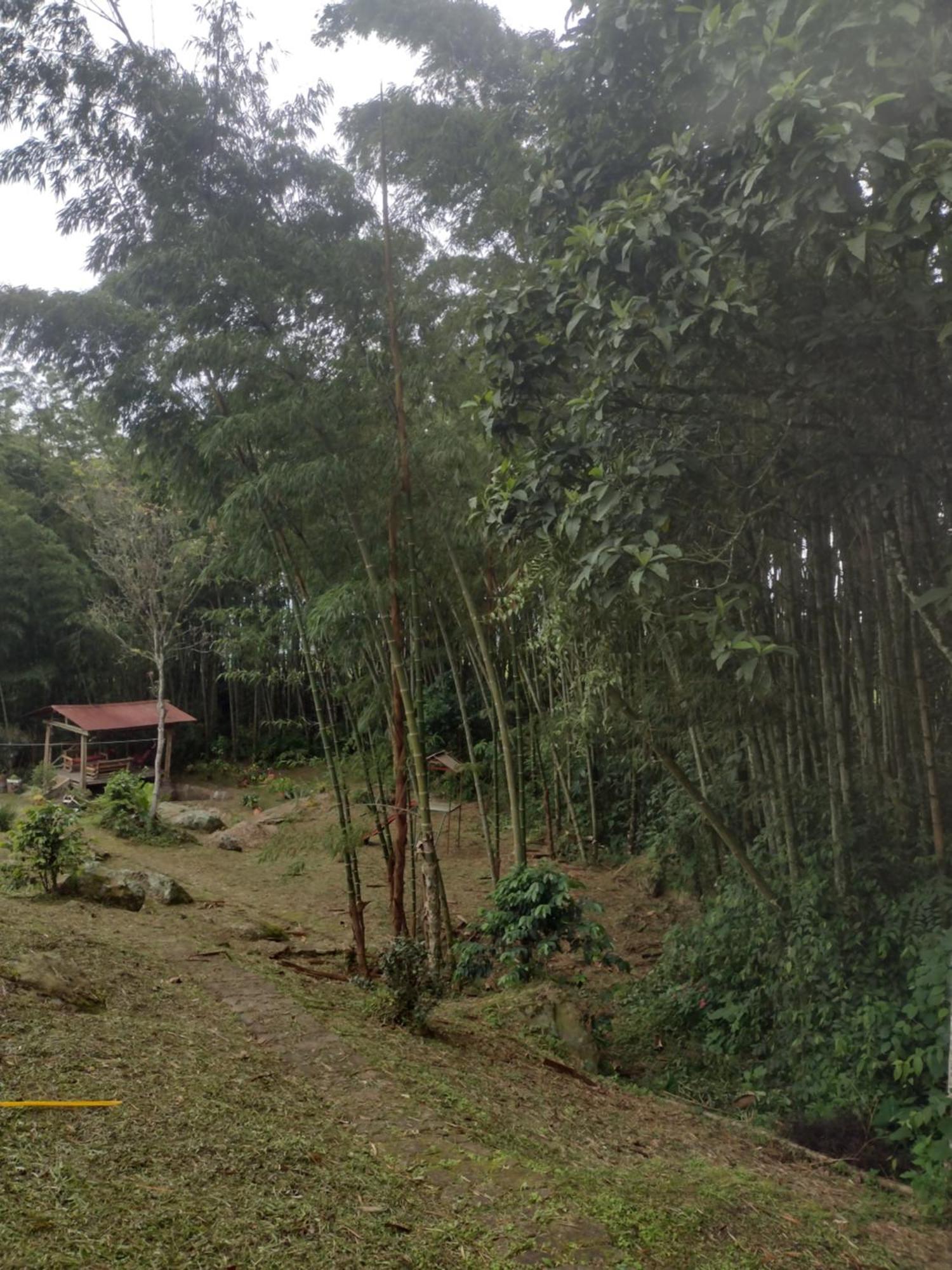 Finca Exclusividad Familiar O Grupo De Amigos Capacidad Hasta 12 Personas Calles En Placa Huella, Caminata Ecologica Alban  Екстер'єр фото