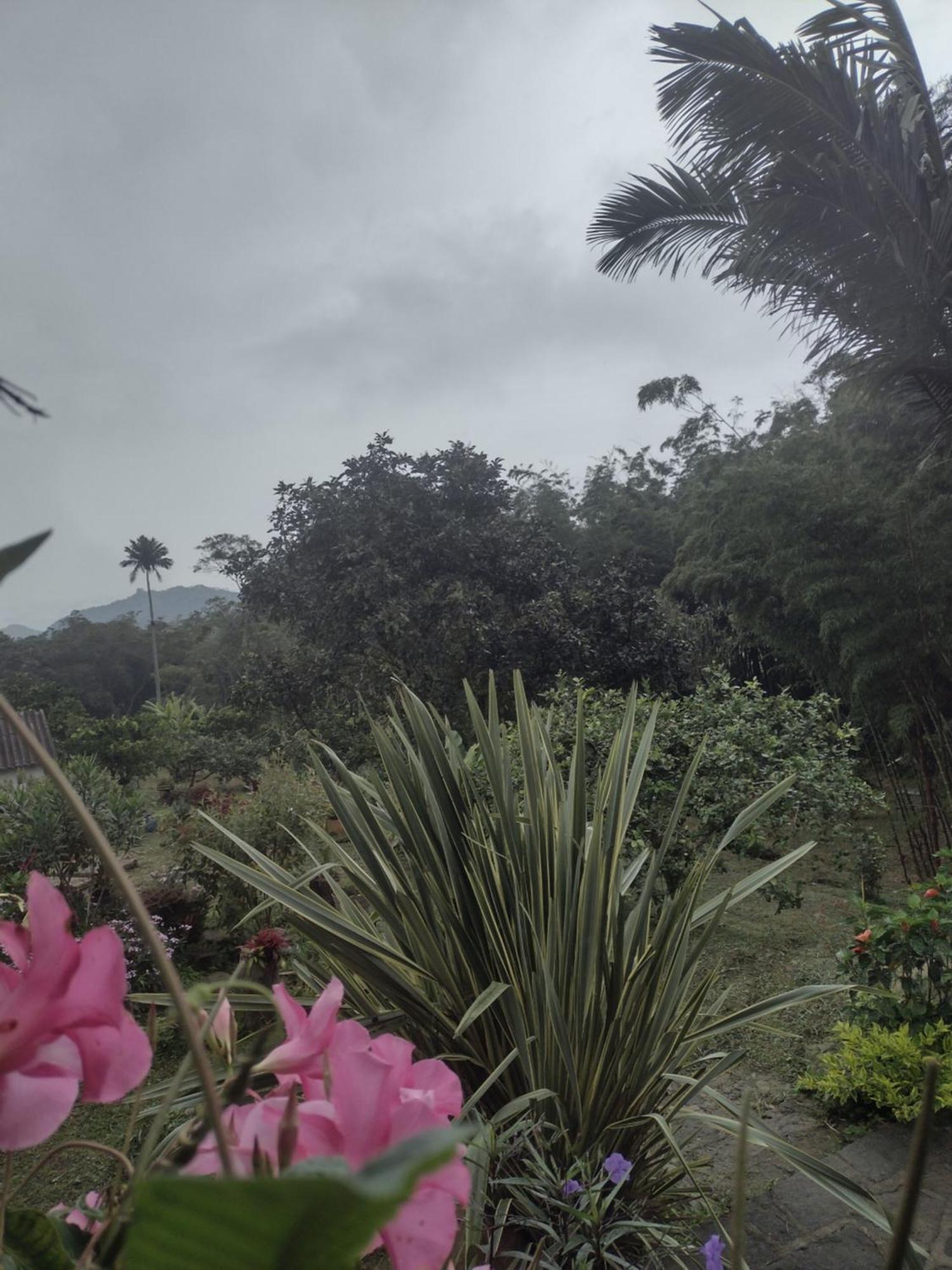 Finca Exclusividad Familiar O Grupo De Amigos Capacidad Hasta 12 Personas Calles En Placa Huella, Caminata Ecologica Alban  Екстер'єр фото